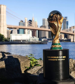 Professional Service